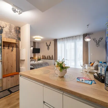 Appartement Jelonek Z Parzenica - Zakopianskie - Jacuzzi & Sauna & Silownia & Plac Zabaw Zakopane