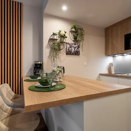 Jelonek Z Parzenica - Zakopianskie - Jacuzzi & Sauna & Silownia & Plac Zabaw Apartment *